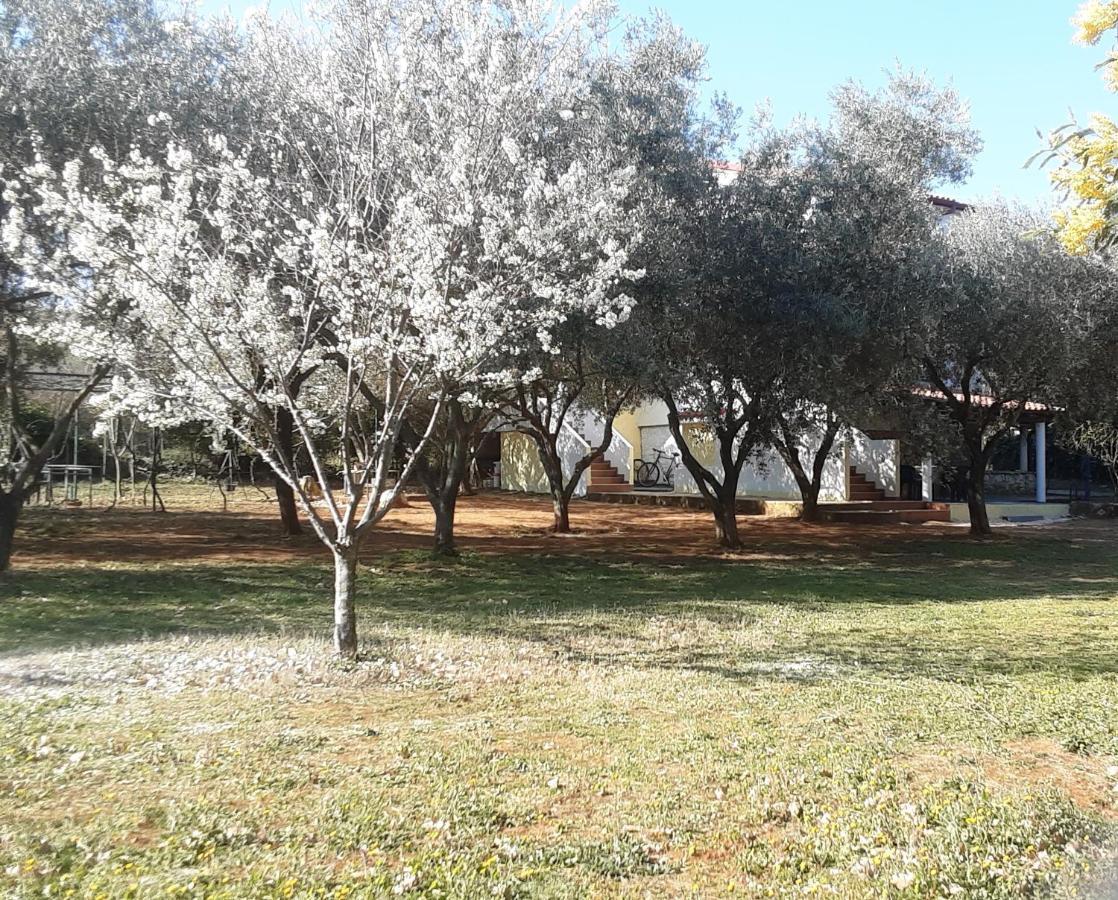Apartments Nena 3* Ližnjan Εξωτερικό φωτογραφία