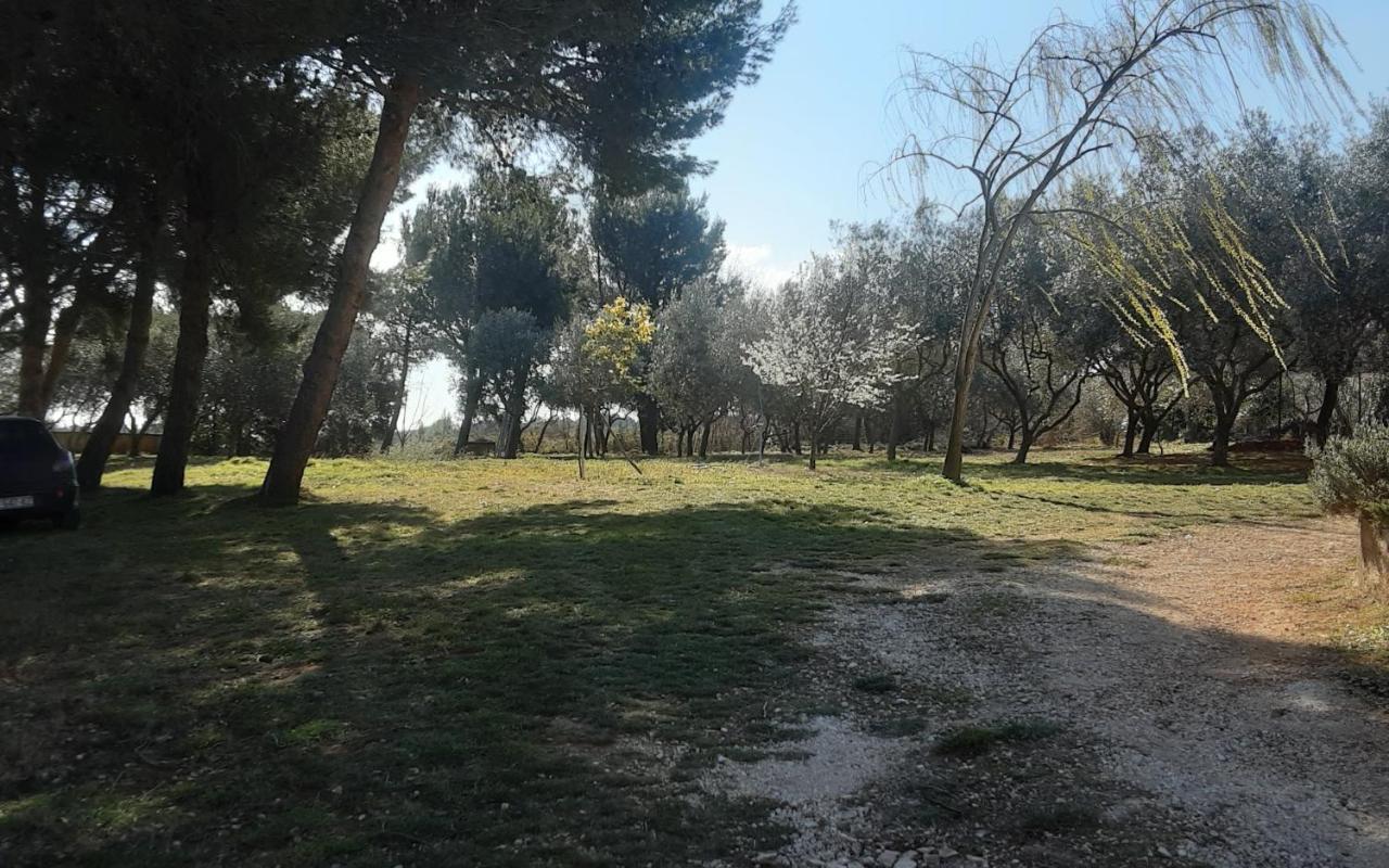Apartments Nena 3* Ližnjan Εξωτερικό φωτογραφία