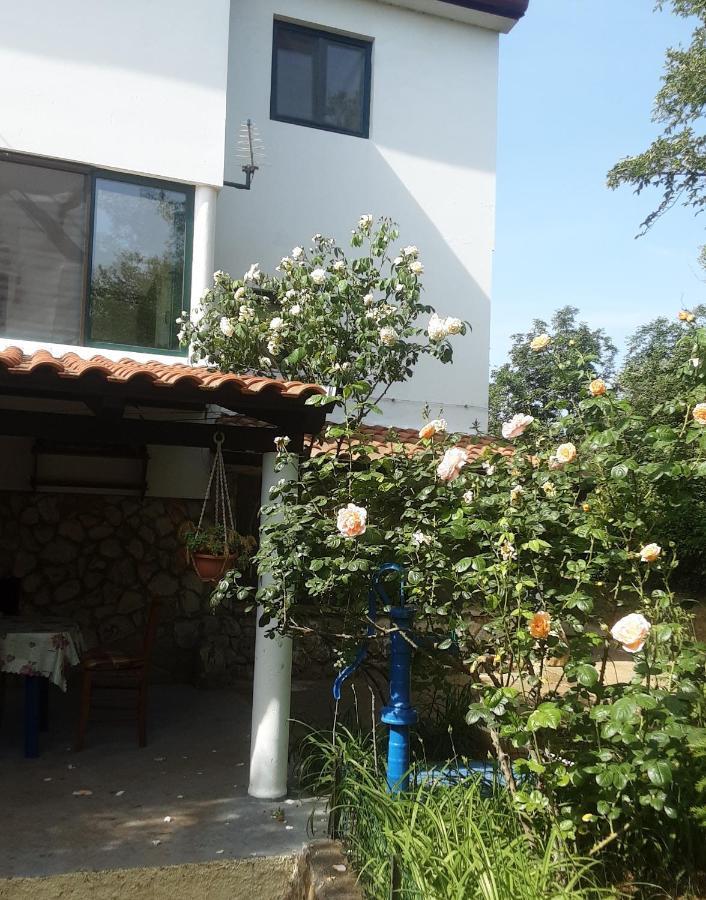 Apartments Nena 3* Ližnjan Εξωτερικό φωτογραφία