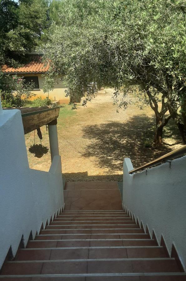 Apartments Nena 3* Ližnjan Εξωτερικό φωτογραφία